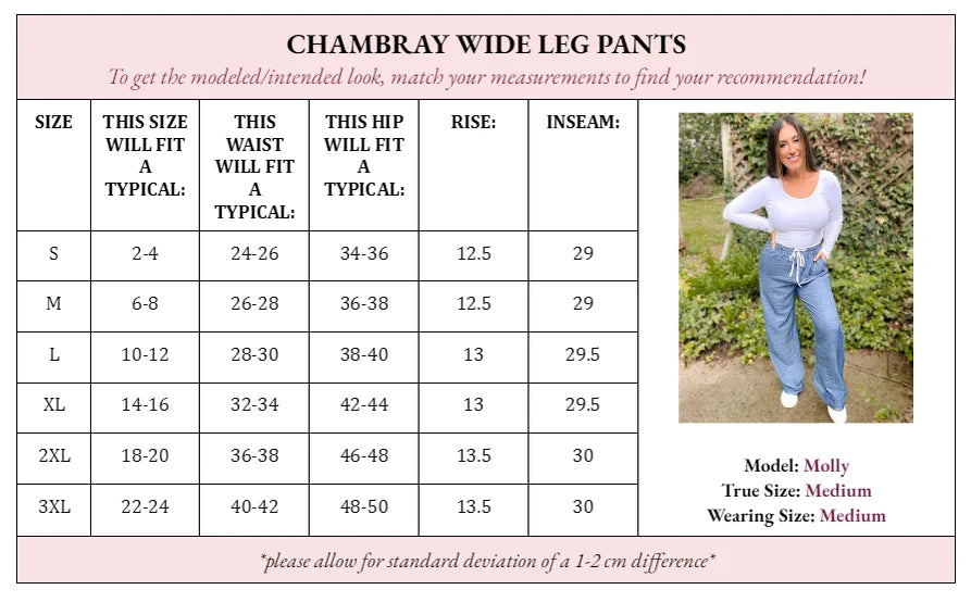 Cora Chambray Wide Leg Pants in Two Colors