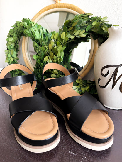 The Midwest Wedge, 3 colors